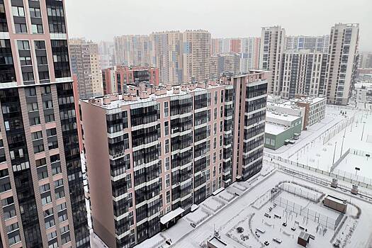 Россиянам назвали способы защититься от «схемы Долиной»