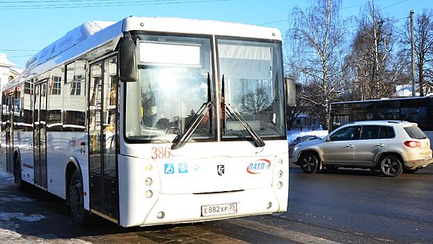 Два дополнительных автобусных маршрута будут бесплатно работать в день выборов президента в Вологде