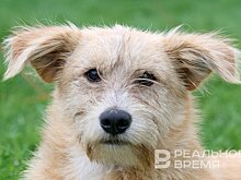 В Шуе образовательные учреждения возвращаются к обычному режиму работы