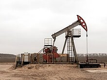 В России обнаружили проблемы более чем с половиной российской экспортной нефти