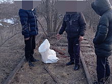 В Челябинске поймали воровку смартфонов из Екатеринбурга
