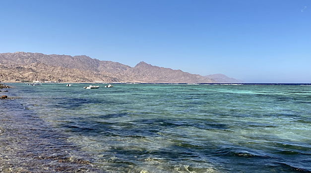 Страховщики: массовой «аллергии на море» в Турции, Египте и на Мальдивах нет