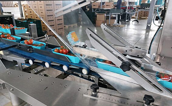 Сын Абрамовича решил выйти из производства помидоров