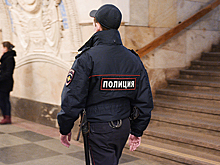 Пассажиры избили полицейского в московском метро