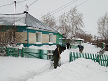 Сколько зарабатывают на сугробах жители Новосибирской области