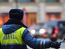 Пьяный водитель в Петербурге попытался дать взятку полицейскому и попал на видео