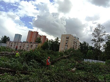 Прокуратура готовит иск по поводу строительства на Березовой аллее