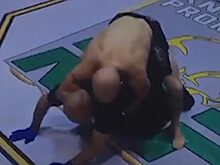 Боец MMA душил судью, перепутав его с противником