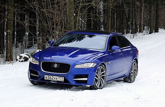 Какая из «кошек» лучше: тест-драйв Jaguar XE и Jaguar XF