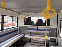 В Сети показали необычную версию «ГАЗели» из Филиппин