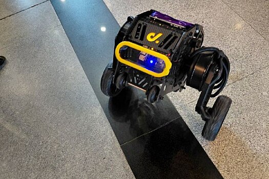 «Домашняя собачка» Дима стал звездой «Технопрома-2025» в Новосибирске