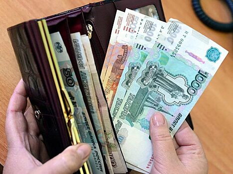 Новосибирцы начали брать больше займов в микрофинансовых организациях