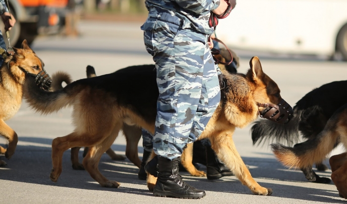 В Волгограде кадет колледжа МВД познакомили с работой кинологической службы