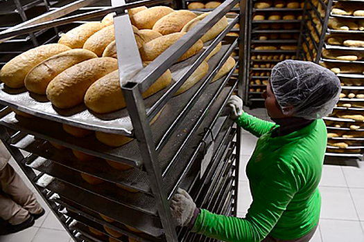 Псковский бизнес получит 100 миллионов рублей на микрозаймы