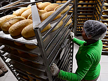 Псковский бизнес получит 100 миллионов рублей на микрозаймы