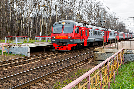 В Подмосковье мужчина напугал пассажиров вагона муляжом гранаты