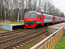 В Подмосковье мужчина напугал пассажиров вагона муляжом гранаты