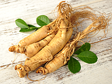 Женьшень: полезные свойства и противопоказания