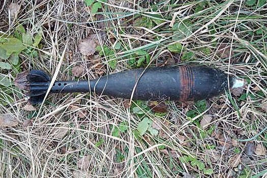 В Ленинградской области жители нашли предмет, похожий на снаряд