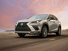 Длительный тест Lexus NX 300. Часть 2: золотая середина