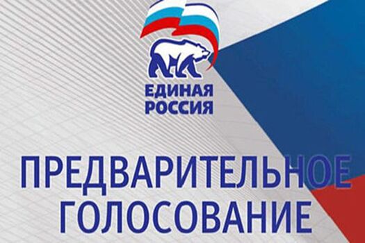 Прием заявлений на участие в праймериз по довыборам в ОЗС и думу Нижнего Новгорода продлен до 15 мая