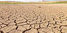 Засуха в Европе: поля превращаются в пустыню, жителям запретили наполнять бассейны и мыть автомобили