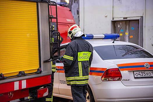 В Москве кот спрятался от хозяйки в трубе и был спасен