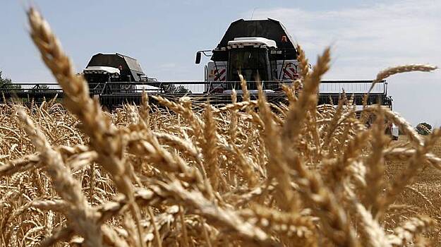 Россия экспортировала рекордное количество зерна