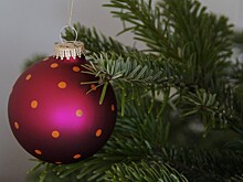 В Омске Сергей Шелест анонсировал проведение новогодней благотворительной акции