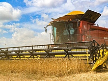 Минсельхоз снизит финансовую нагрузку на аграриев