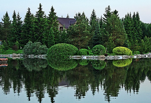 Как правильно стричь и обрезать растения