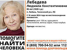 "Фонтанка": в поселке Любань пропала актриса из "Гоголя" Лебедева