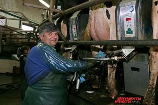 Закружила «карусель». Лучший дояр области профессии не стесняется