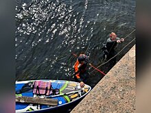 Волонтеры в Санкт-Петербурге четыре дня спасают кота, застрявшего в стене набережной