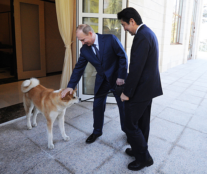 Щенка редкой породы акита-ину по кличке Юме, что переводится как «мечта», Путин получил от японского губернатора северной японской префектуры Акита Норихиса Сатакэ в 2011 году в знак благодарности за помощь в ликвидации последствий землетрясения