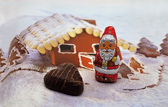 Деду Морозу обещают новый терем, а туристам – гостиницы