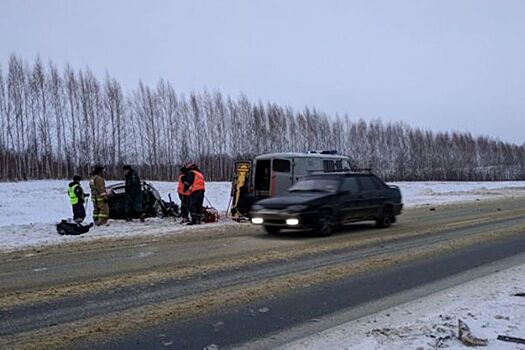 Спасатели извлекли тело 31-летнего пензенца из раздавленной фурой легковушки