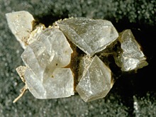 Производители минеральных удобрений вложат свыше 1,6 триллиона рублей в агротехнологии для отечественного АПК