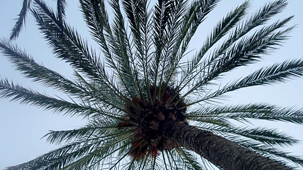 Из Владивостока в Макао: десять причин открыть для себя «азиатский Лас-Вегас»