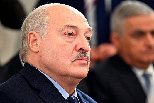 Президент Беларуси пообещал сделать все для сохранения деревни