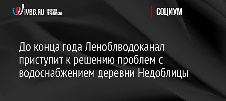 До конца года Леноблводоканал приступит к решению проблем с водоснабжением деревни Недоблицы