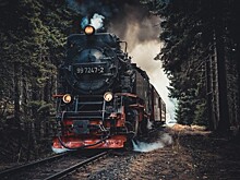 Дворец пионеров приглашает школьников 12-18 лет на лекцию о ж/д транспорте 9 октября