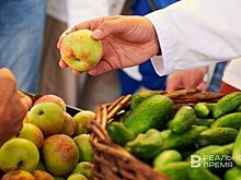 Казанские сельскохозяйственные ярмарки стартуют 14 сентября