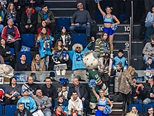 Покажи грудь: в Новосибирске перед хоккейным матчем проведут бесплатное УЗИ молочных желез