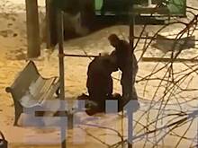 Пьяный москвич до смерти избил пожилого мужчину за кормление бездомных кошек во дворе дома