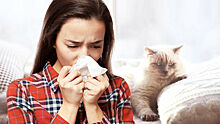 Почему опасно чихать с закрытыми ртом и носом
