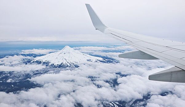 Туристы из России опробовали электронные Arrival Card в Китае