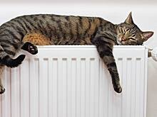 Управляющим компаниям дали сутки на отладку отопления в домах Новосибирска