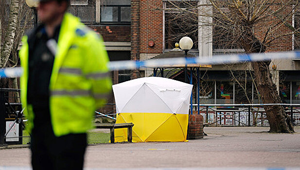 В отравлении Скрипаля заинтересована Украина