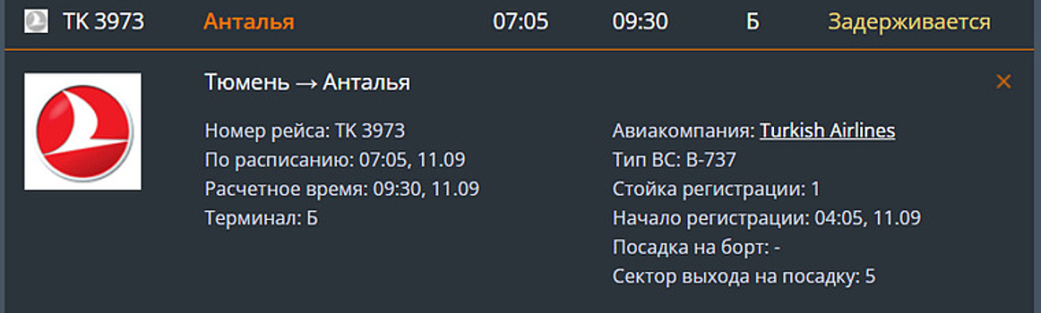 В Тюмени на 2,5 часа задержан рейс в Турцию